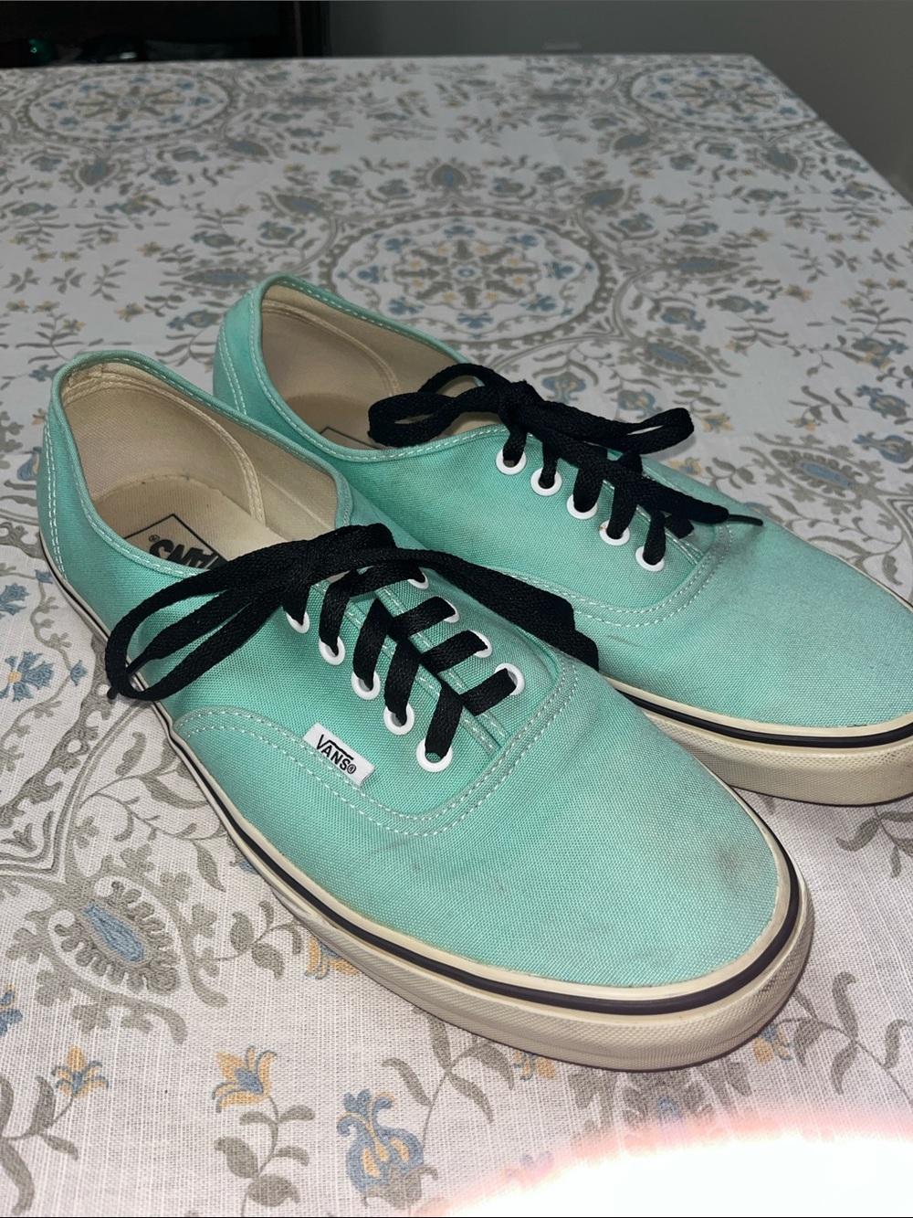 Vans Aqua Canvas Low-Top Sneakers with Black Laces